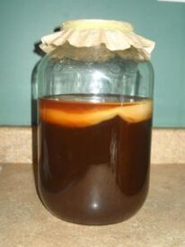 Kombucha para tratar fungos no pé